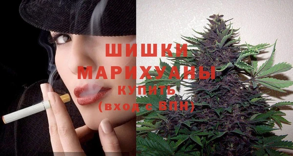 гашик Осинники