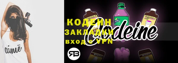 гашик Осинники