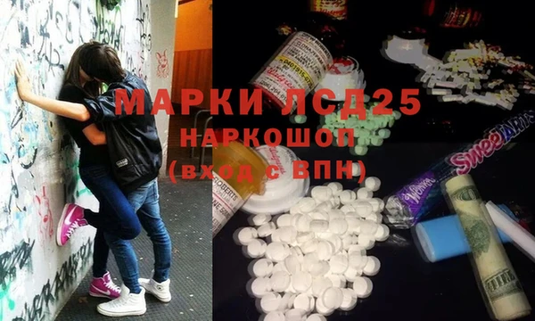гашик Осинники