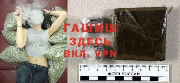 гашик Осинники