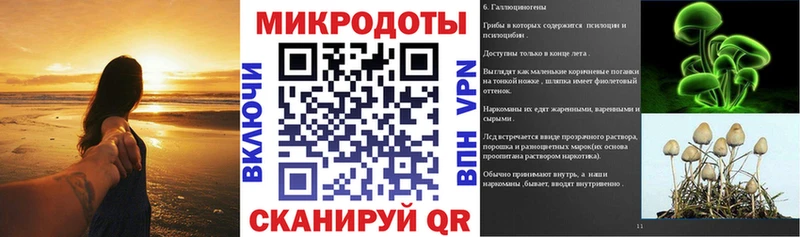 Галлюциногенные грибы Magic Shrooms Светогорск