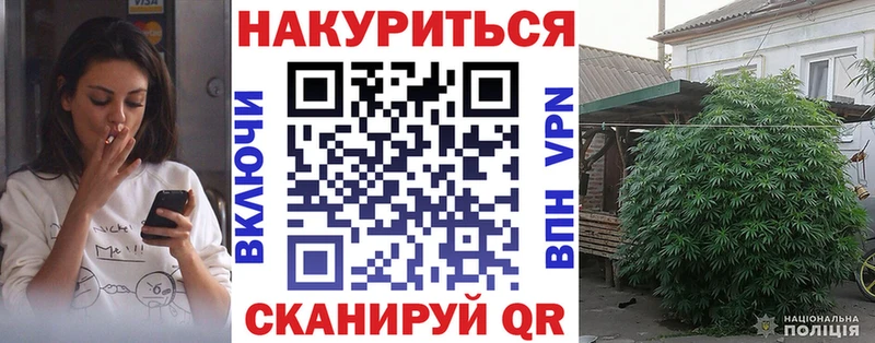 Канабис сатива  kraken вход  Светогорск 